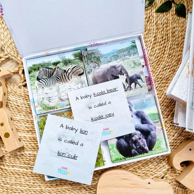 Teddo Play Animals & their Young - Educational Gift + Freebies