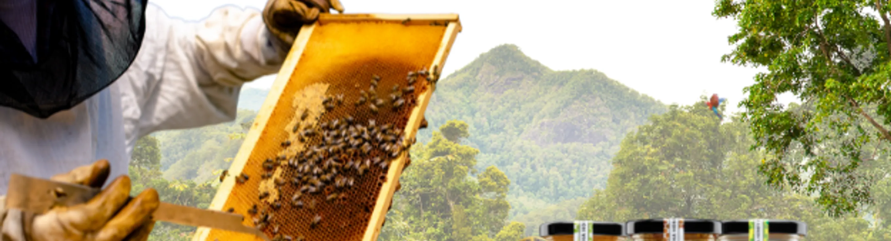 Alpha Honey Health