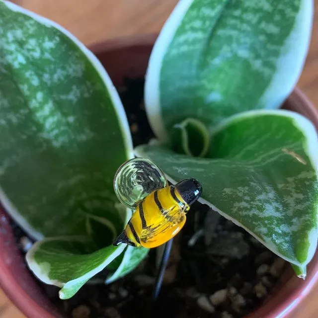Glass Bee Plant Stick