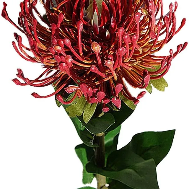 Artificial Planting Protea Flower With Long Stem - Dark Red