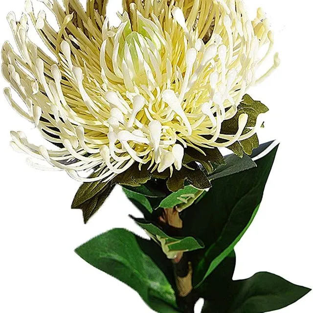 Artificial Planting Protea Flower With Long Stem - Milk White