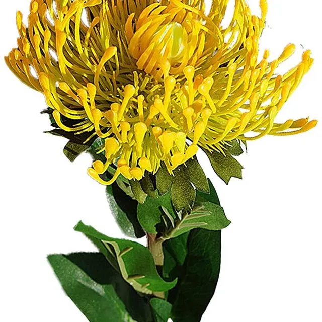 Artificial Planting Protea Flower With Long Stem - Yellow Green