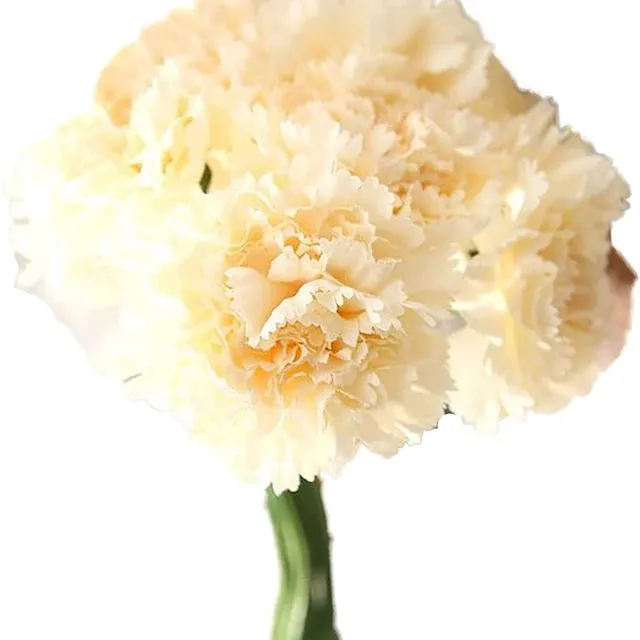Carnation Silk Artificial Flower Bouquet - Champagne