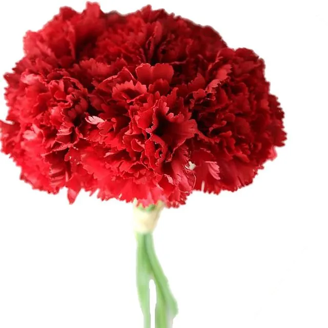 Carnation Silk Artificial Flower Bouquet - Red
