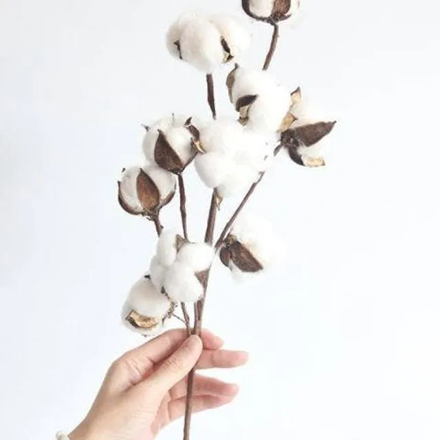 Heads of Natural Cotton Branches Artificial Flower