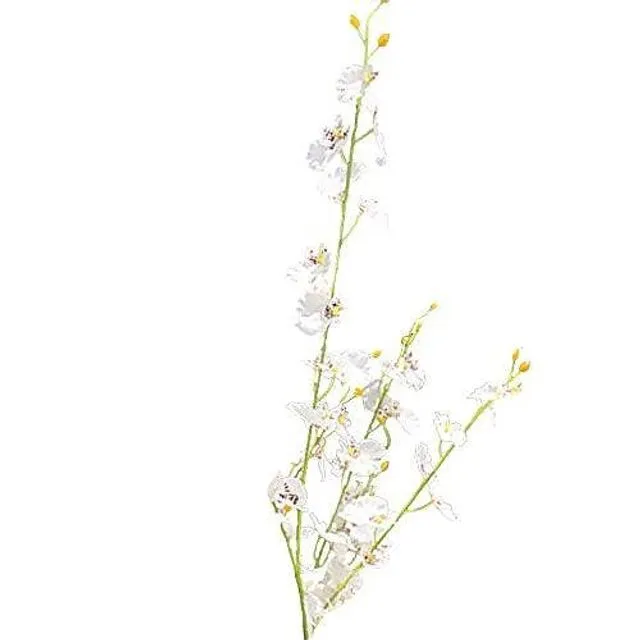 Dancing Lady Orchid Artificial Flower Stem - White