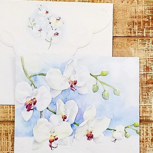 White Orchid Note Cards from Carol Wilson Fine Arts