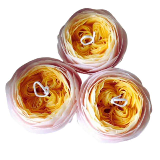Romantica Flower Candle: Pink & Yellow