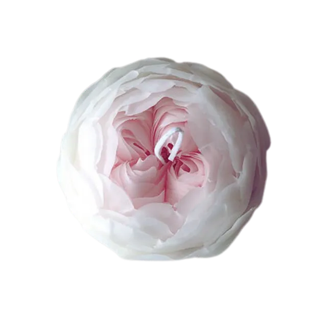 Romantica Flower Candle: White & Pink