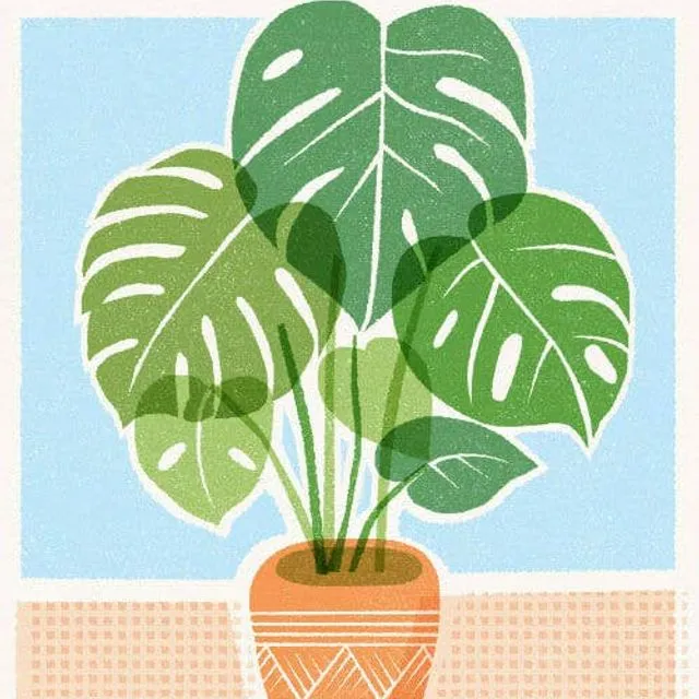 New Home Plant Greeting Card
