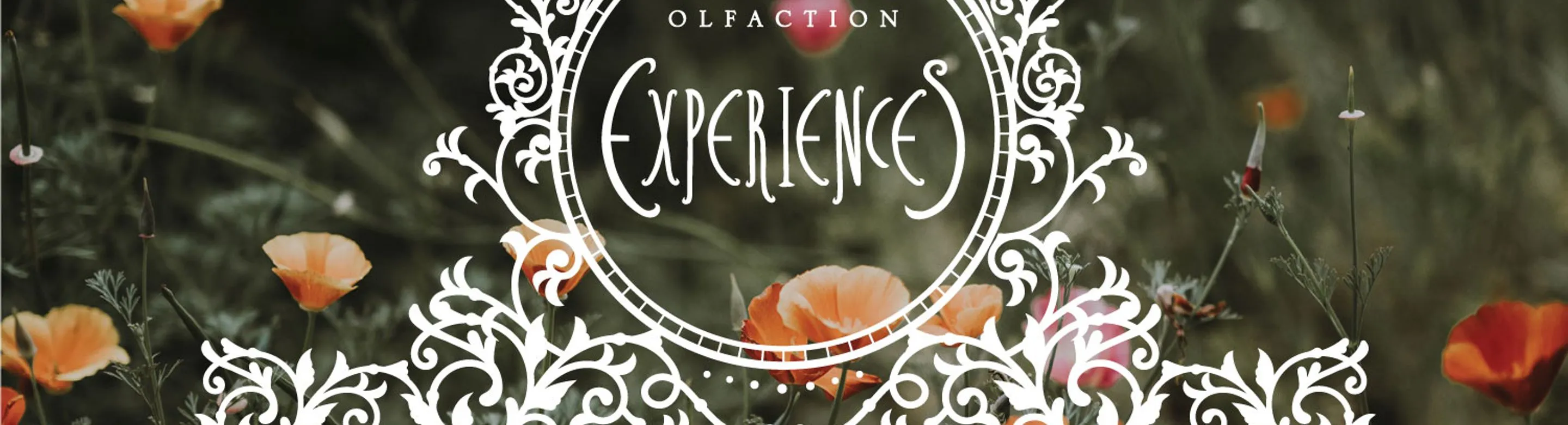 Olfaction Experiences
