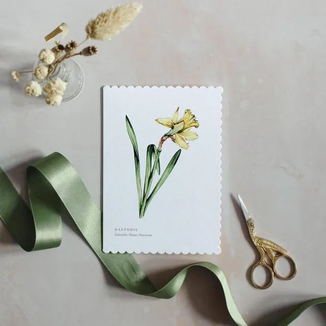 Daffodil Scallop Edge Greeting Card