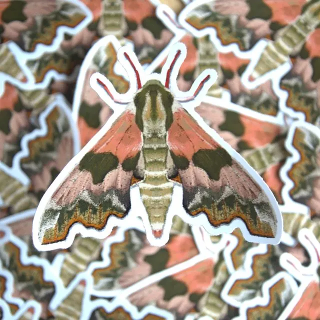 Lime Hawk Moth Vinyl Sticker