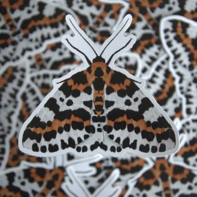 Magpie Moth Vinyl Sticker