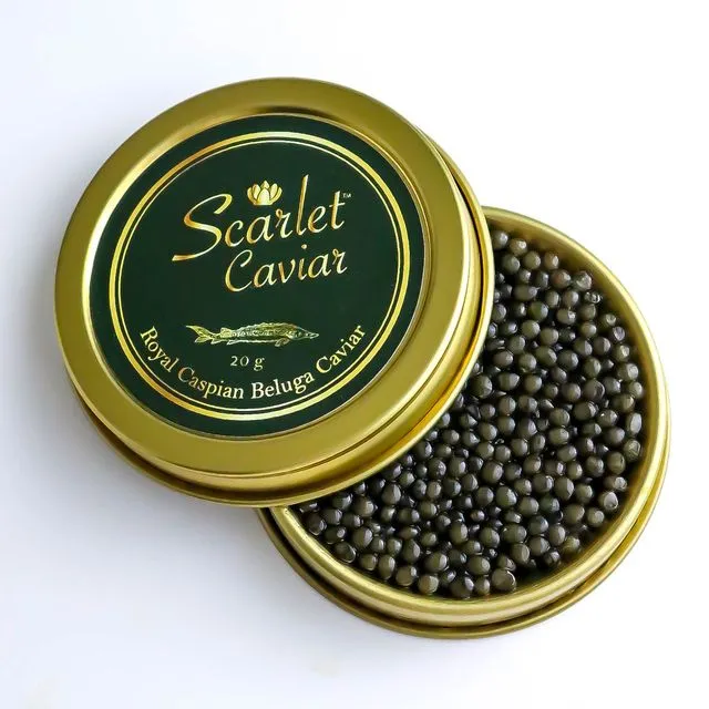 Royal Caspian Beluga Caviar 20g