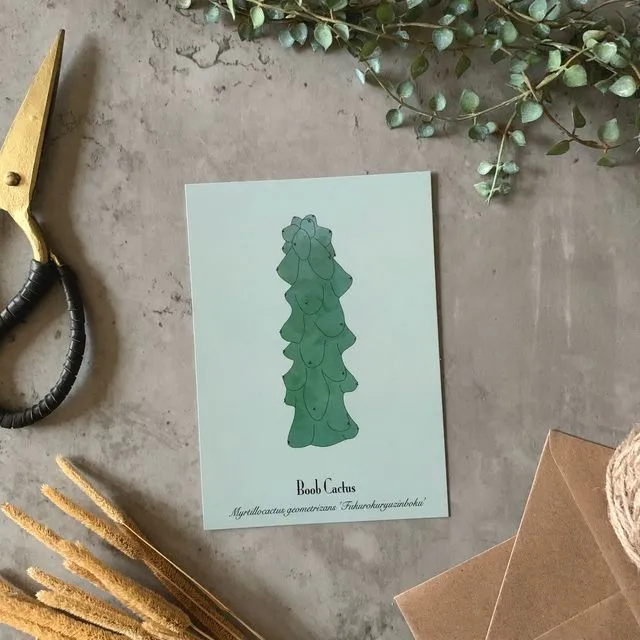 Postcards Boob Cactus – Set of 10