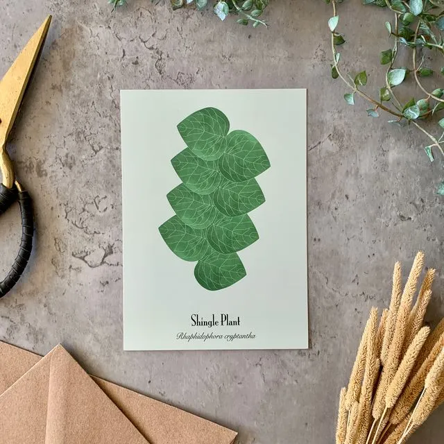 Postcards Shingle Plant – Set of 10