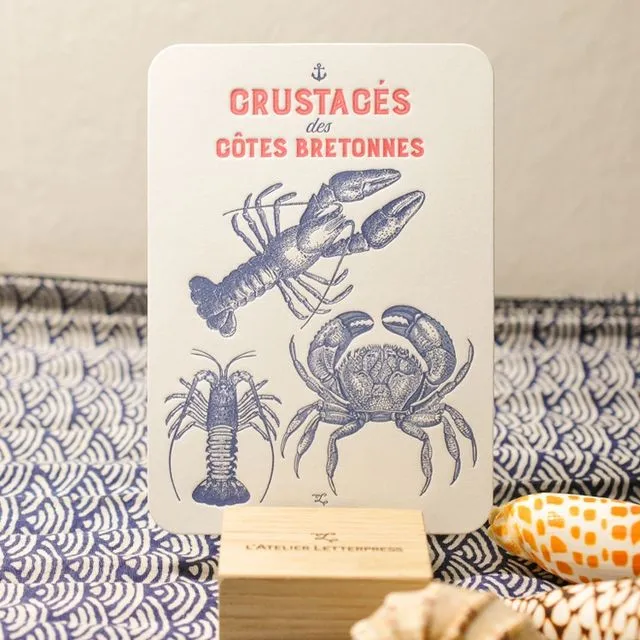 Card Crustaceans from the Breton coasts