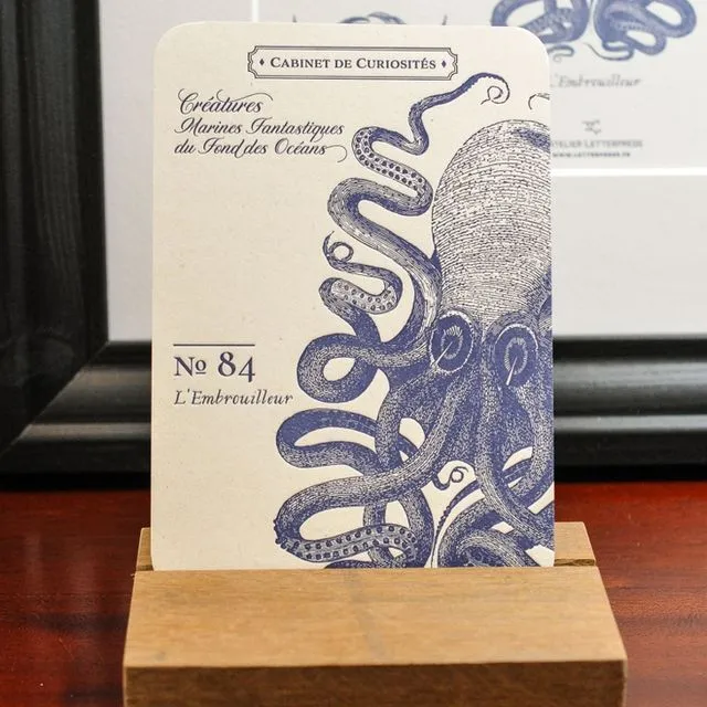 Card Octopus