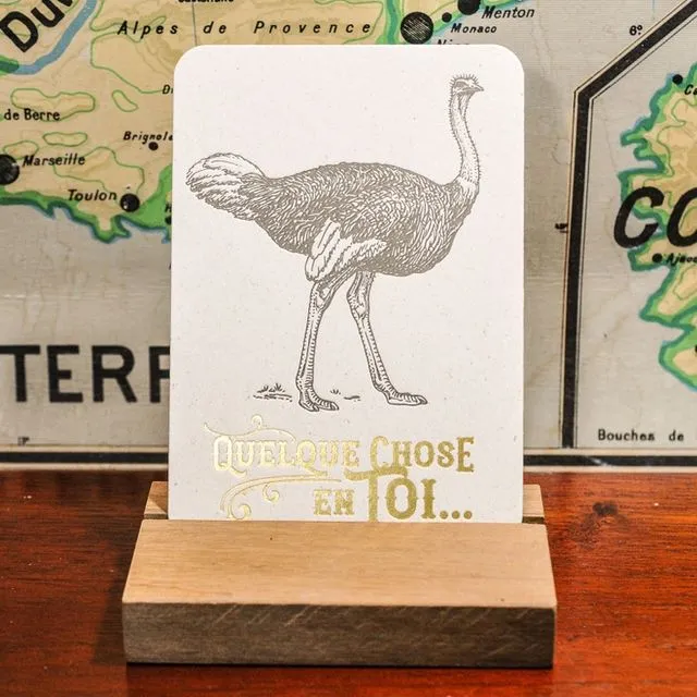 Greeting Card Something in You Ostrich