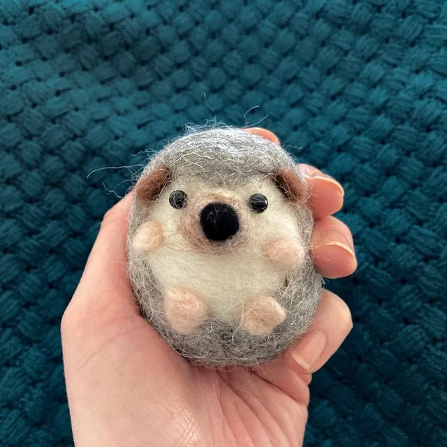 Needle Felting Kit - Hedgehog. A beginner’s craft kit for adults. Creative gift idea for teachers.