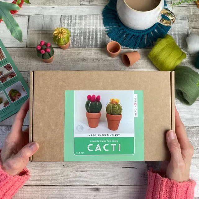 Needle felting kit - Cacti - wool craft project for beginners - creative gift idea - cactus lover - craft kit for adults
