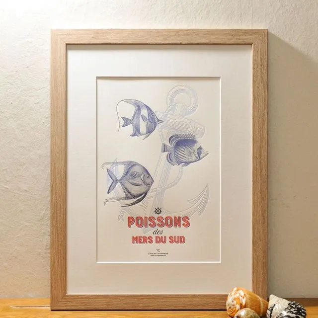 Art Print Fish from the Southern Seas