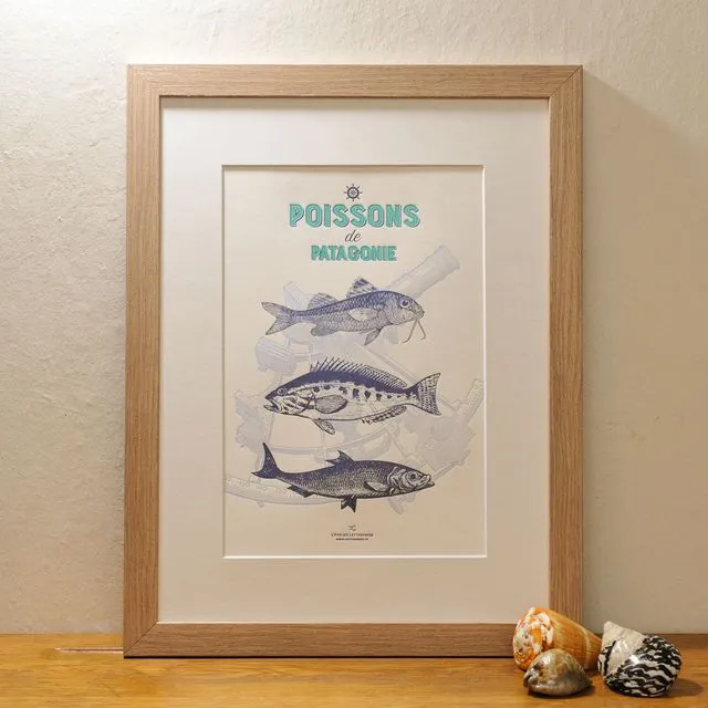 Art Print Fish from Patagonia