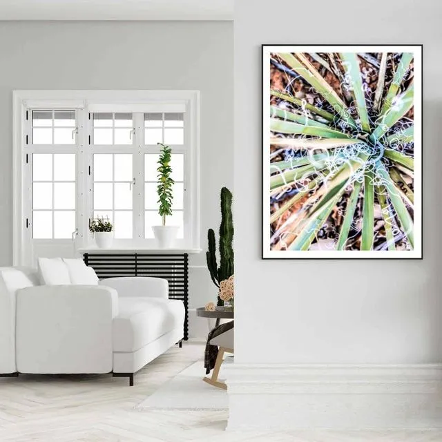 Cactus Photography Art Multi-Size Wall Decor Print