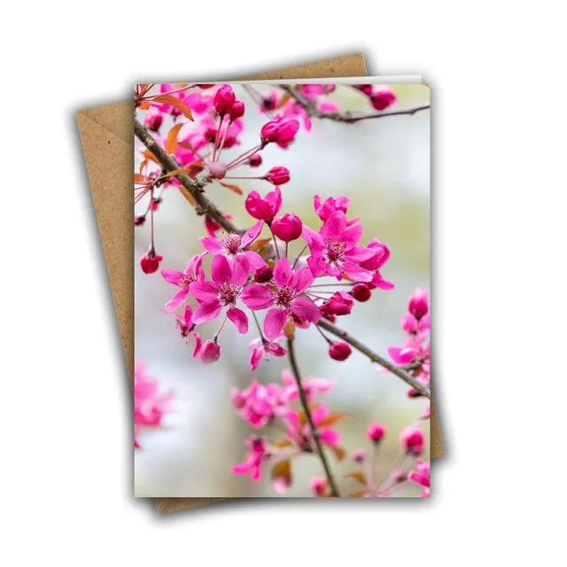 Pink Blossom Greeting Card