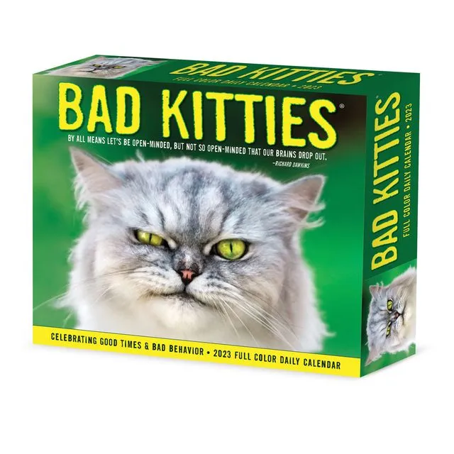 Bad Kitties 2023 6.2" x 5.4" Box Calendar