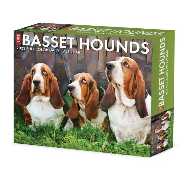 Basset Hounds 2023 6.2" x 5.4" Box Calendar