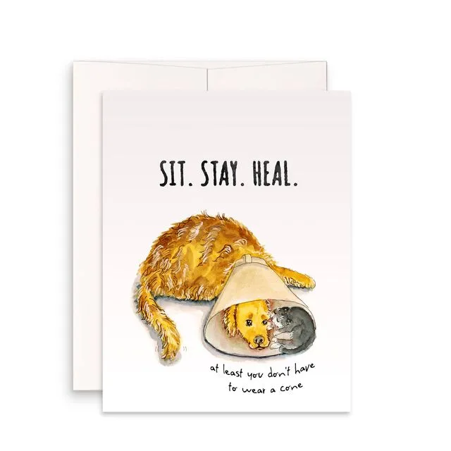 Cone Of Shame Dog And Cat - Sympathy Card