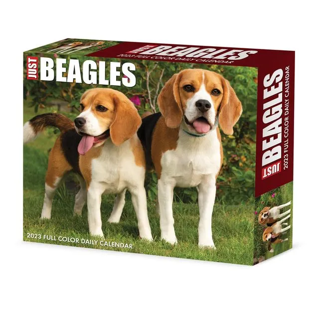 Beagles 2023 6.2" x 5.4" Box Calendar