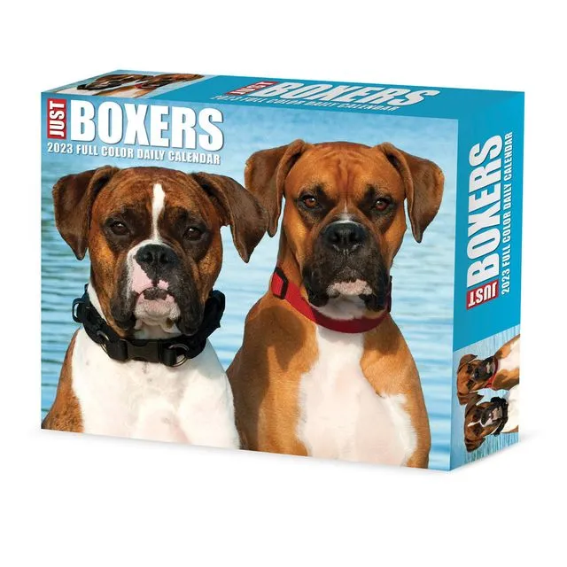 Boxers 2023 6.2" x 5.4" Box Calendar