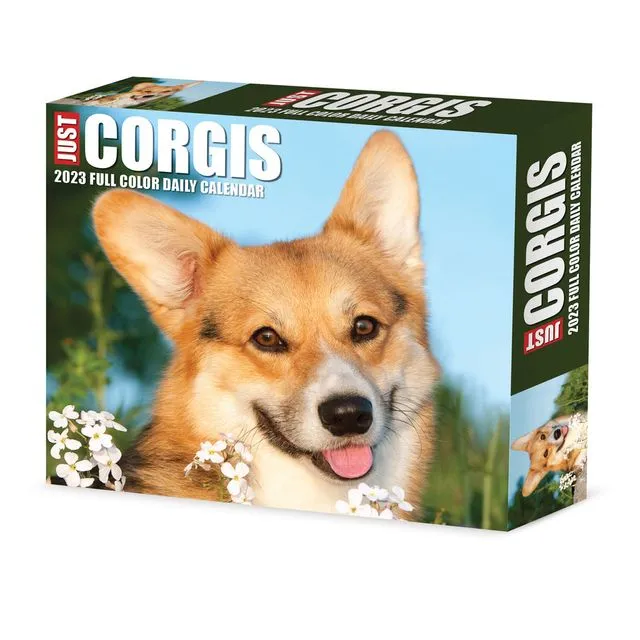 Corgis 2023 6.2" x 5.4" Box Calendar