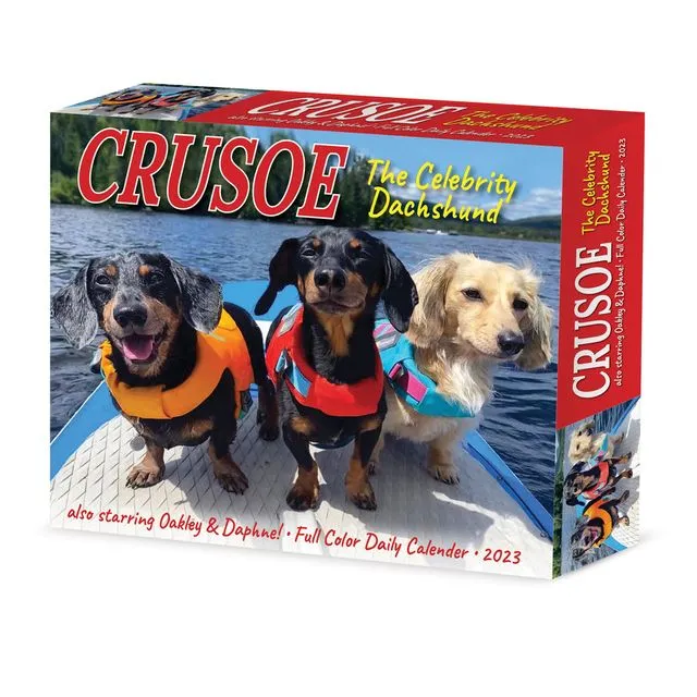 Crusoe the Celebrity Dachshund 2023 6.2" x 5.4" Box Calendar