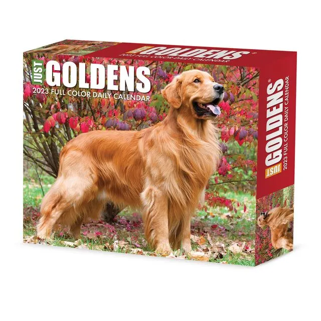 Goldens 2023 6.2" x 5.4" Box Calendar
