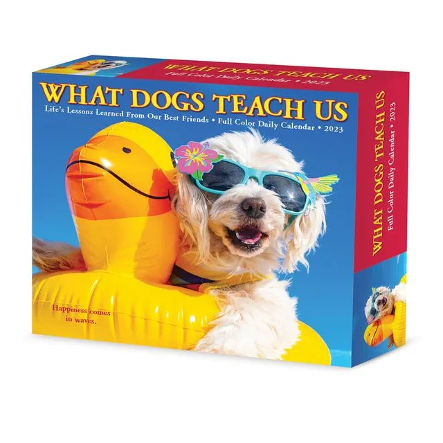 What Dogs Teach Us 2023 6.2" x 5.4" Box Calendar