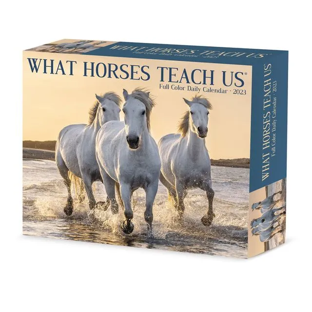 What Horses Teach Us 2023 6.2" x 5.4" Box Calendar