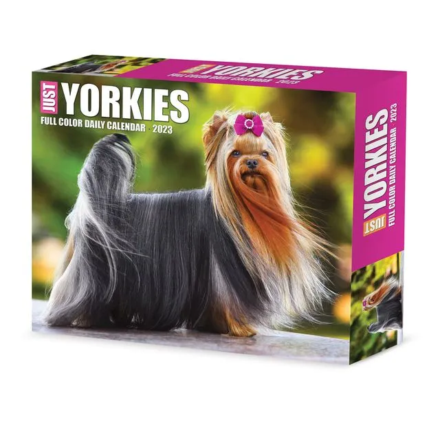 Yorkies 2023 6.2" x 5.4" Box Calendar