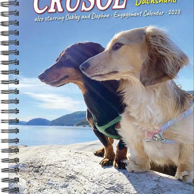 Crusoe the Celebrity Dachshund 2023 7" x 8.7" Engagement Calendar
