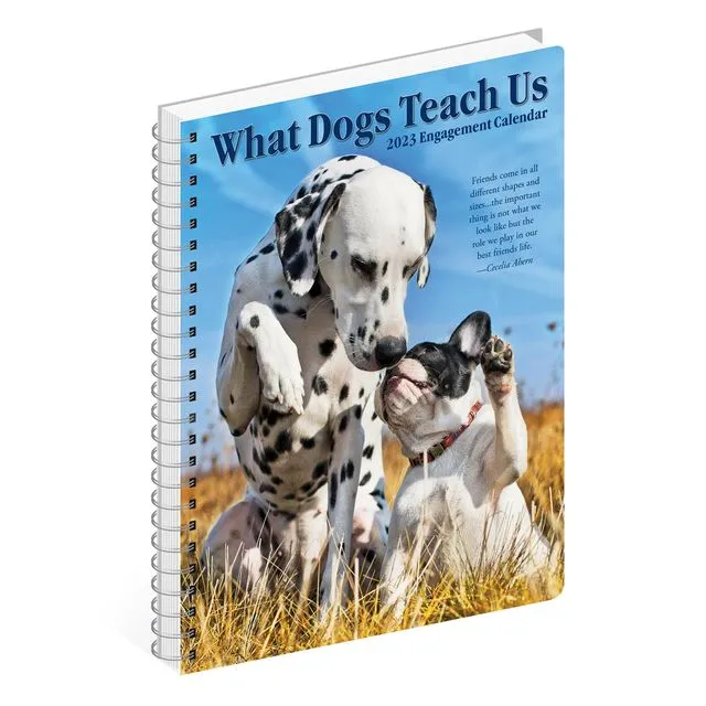 What Dogs Teach Us 2023 7" x 8.7" Engagement Calendar