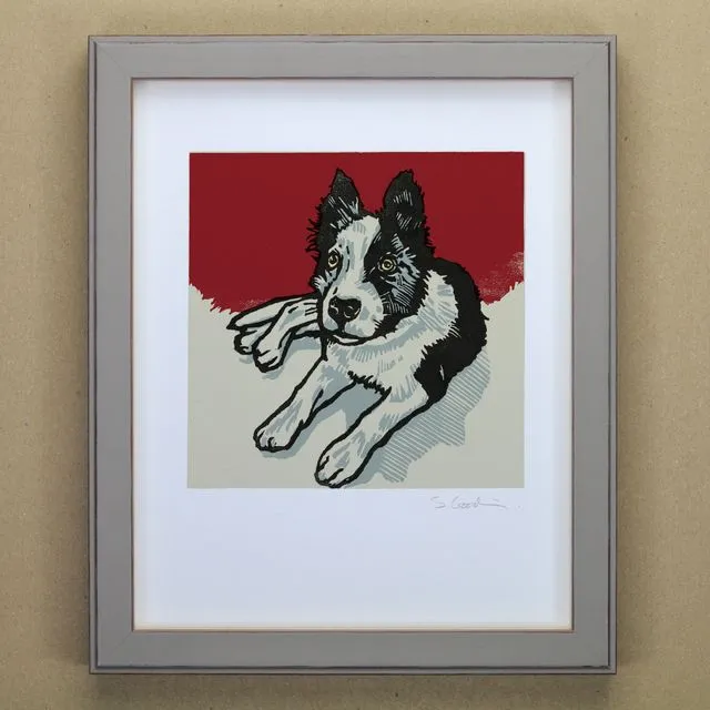 Border Collie Puppy Art Print