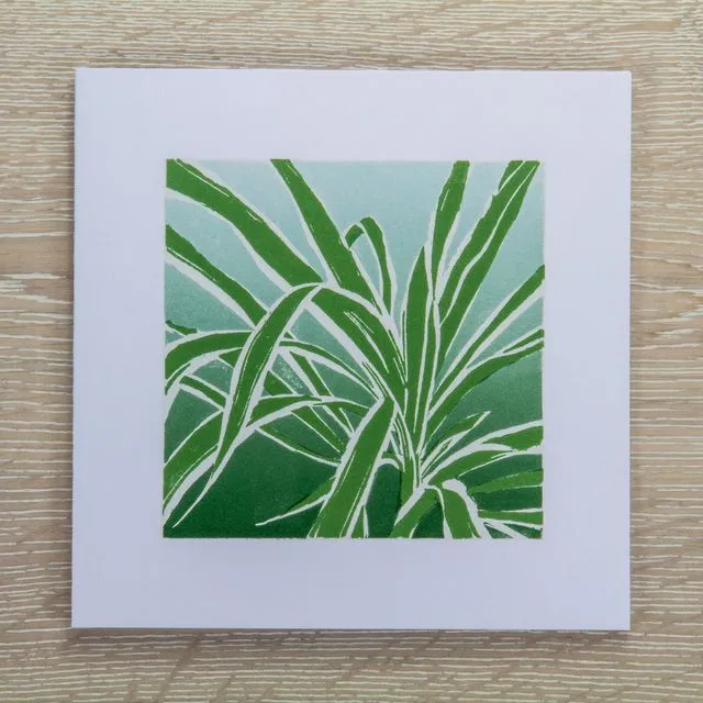 Spider Plant Greetings Card