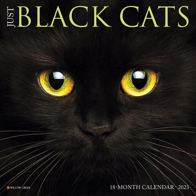 Just Black Cats 2023 7" x 7" Mini Wall Calendar