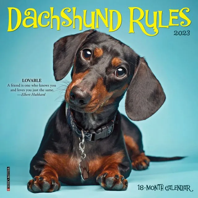 Dachshund Rules 2023 7" x 7" Mini Wall Calendar