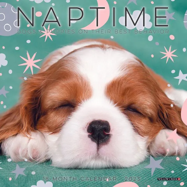 Naptime (Dogs) 2023 7" x 7" Mini Wall Calendar