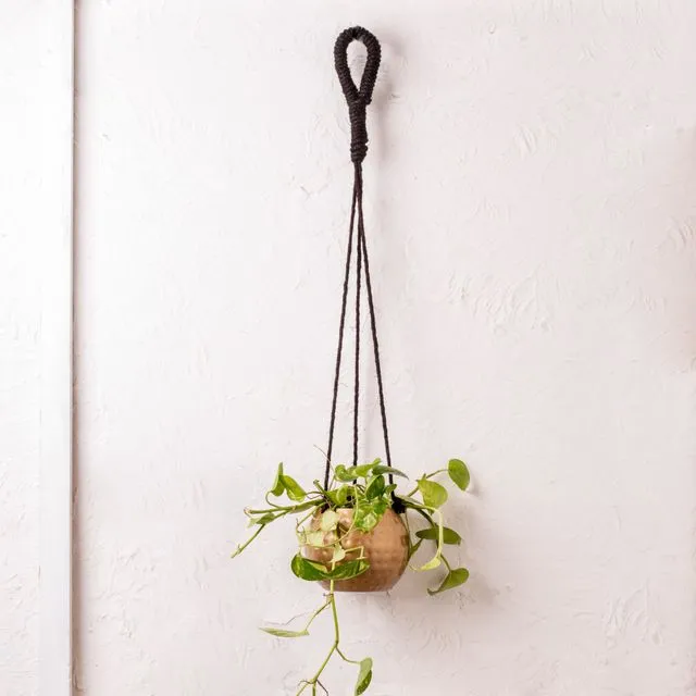 Contemporary Indoor Planter / Hanging Plant pot with a matte finish