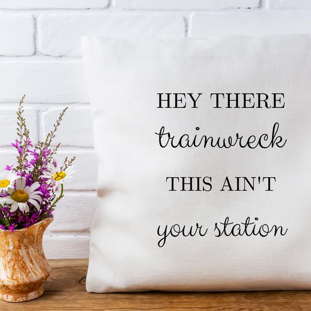 Funny Pillow Cover - Trainwreck